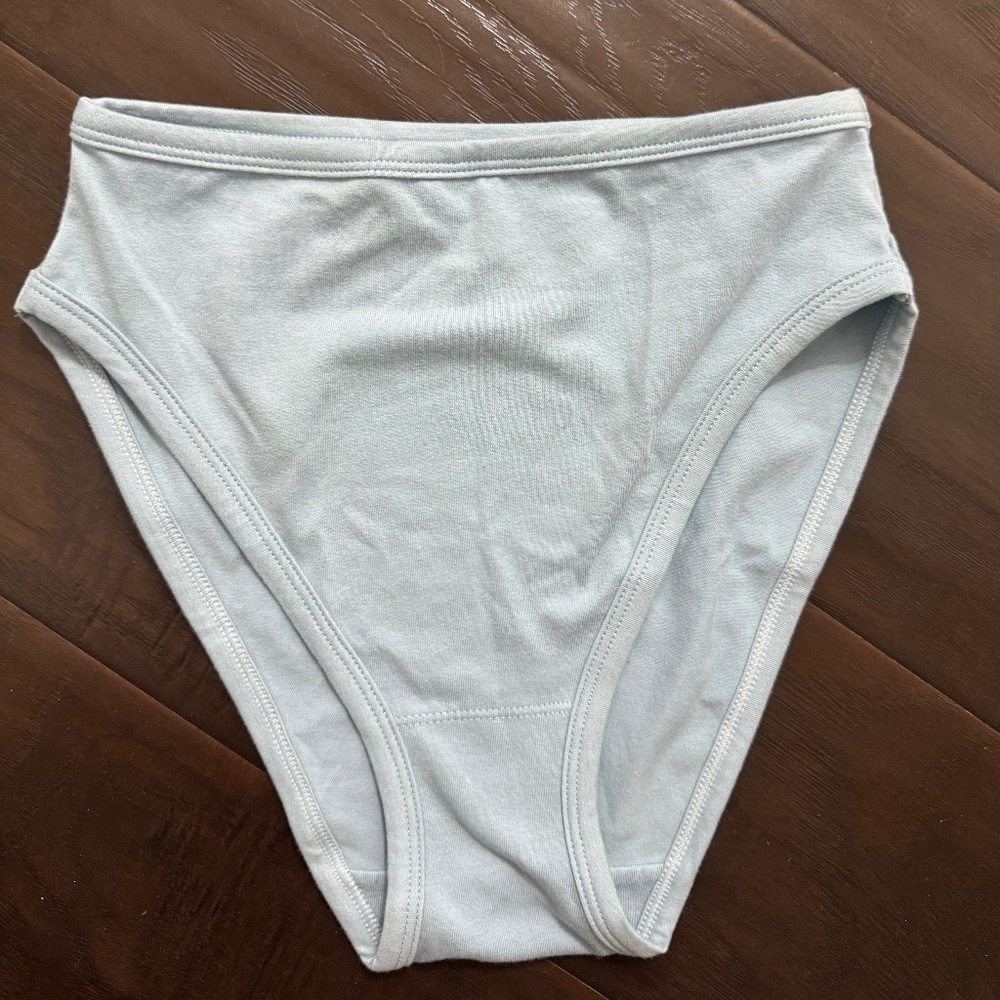 ARQ Baby Blue Mischa Organic Panties—S